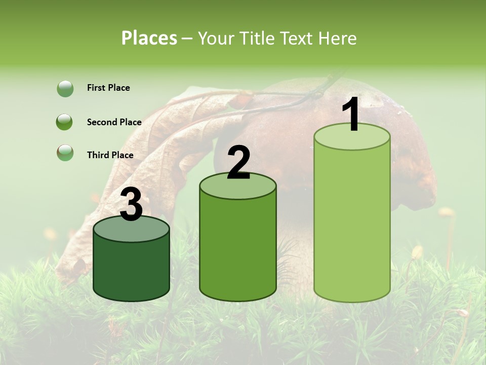 Cooking Cepe Beauty PowerPoint Template