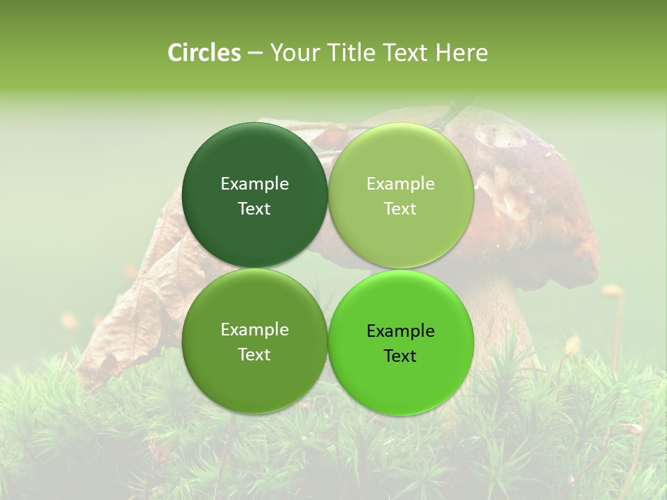 Cooking Cepe Beauty PowerPoint Template