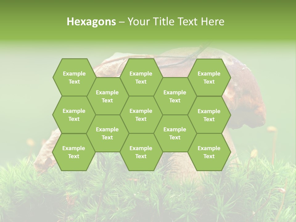 Cooking Cepe Beauty PowerPoint Template