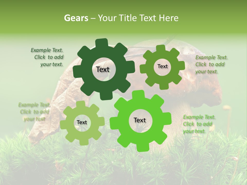 Cooking Cepe Beauty PowerPoint Template