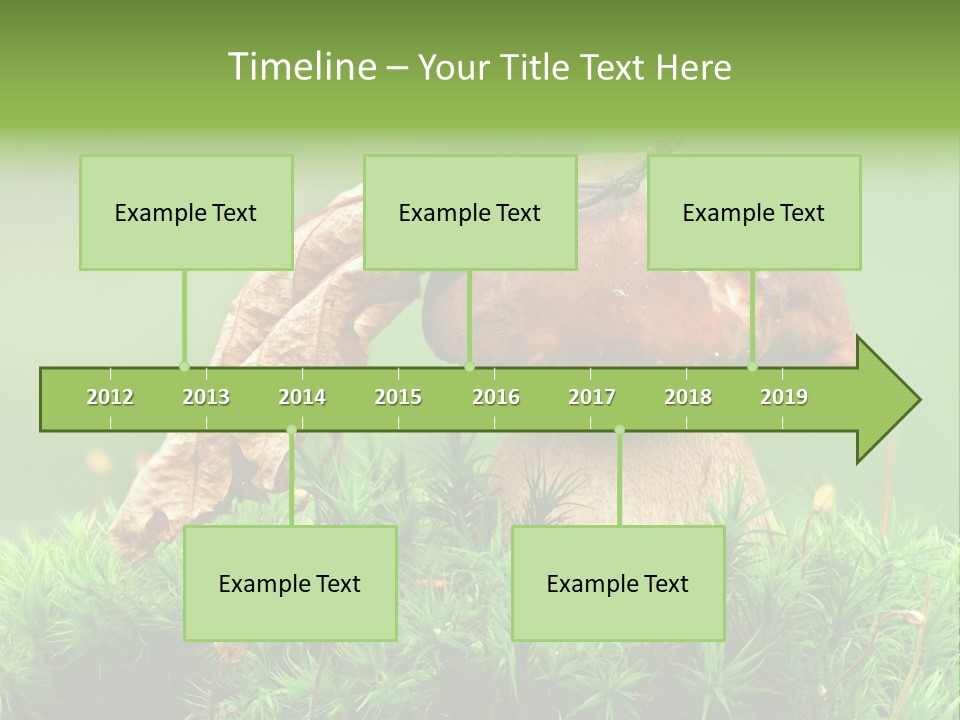 Cooking Cepe Beauty PowerPoint Template