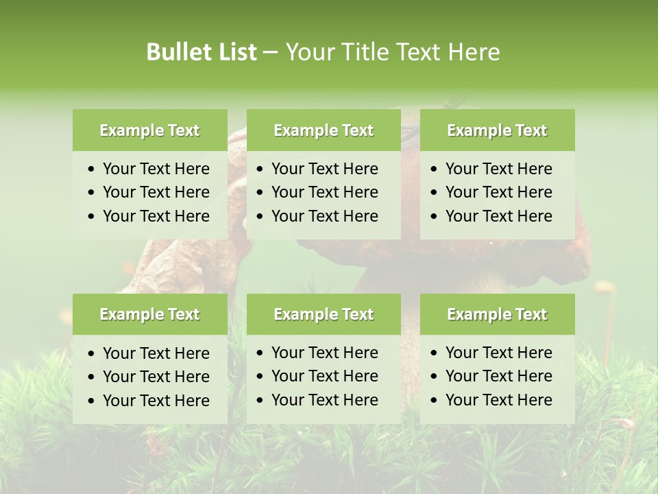 Cooking Cepe Beauty PowerPoint Template