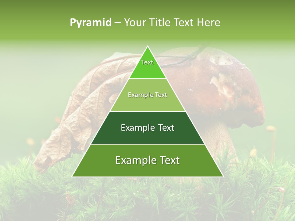 Cooking Cepe Beauty PowerPoint Template