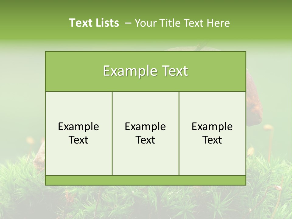 Cooking Cepe Beauty PowerPoint Template