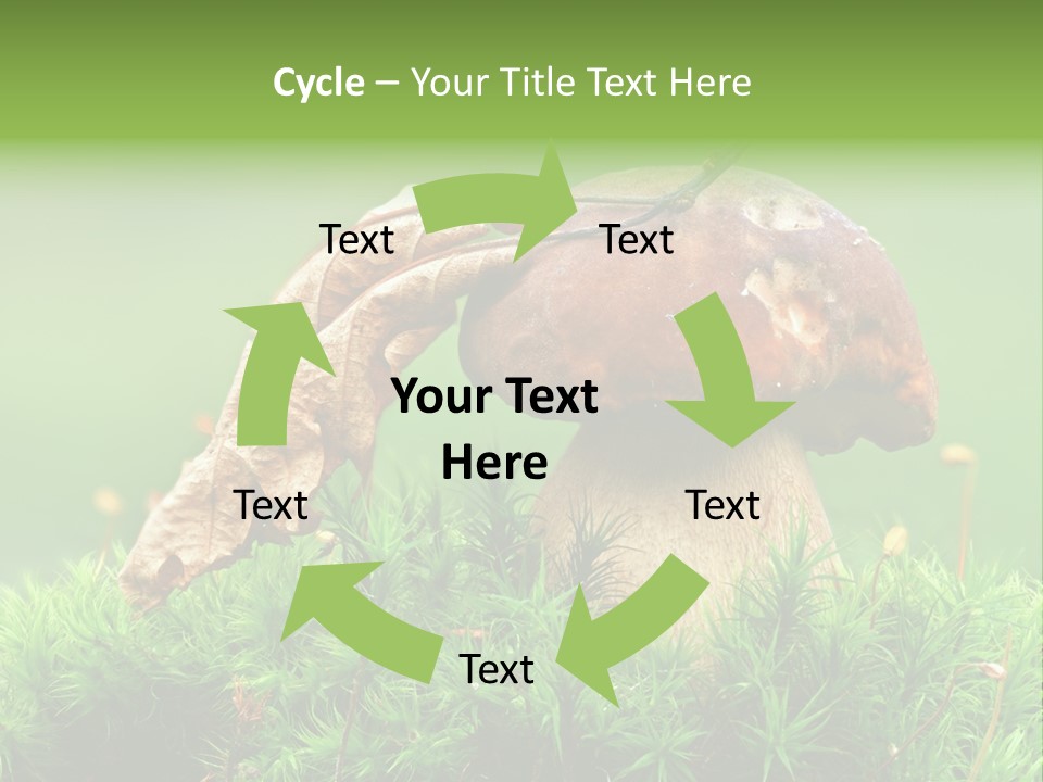 Cooking Cepe Beauty PowerPoint Template