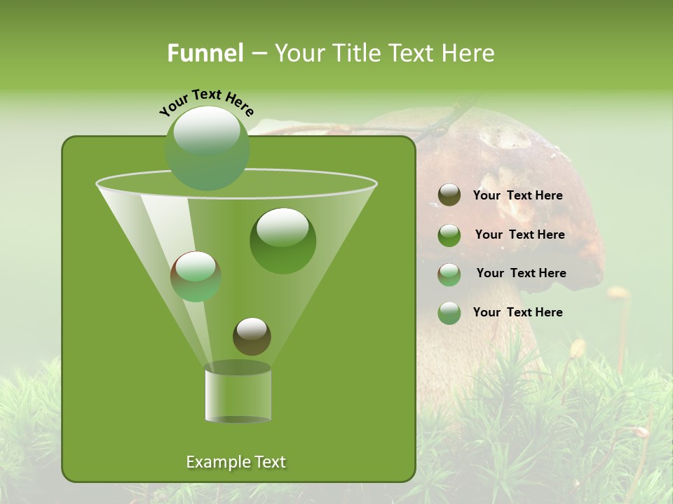 Cooking Cepe Beauty PowerPoint Template