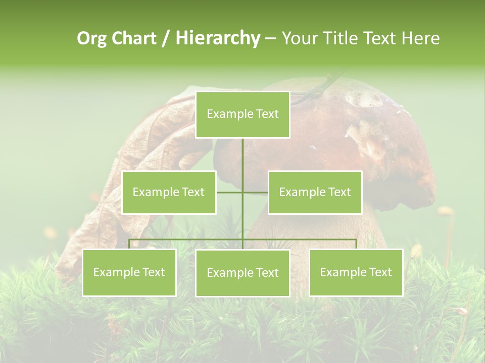 Cooking Cepe Beauty PowerPoint Template