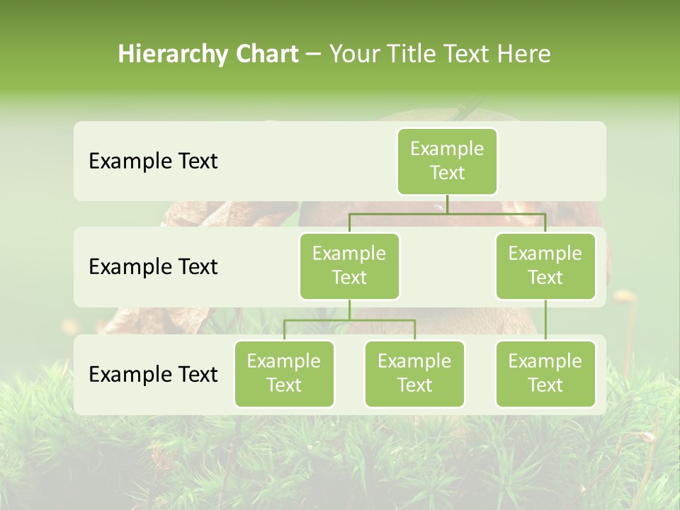 Cooking Cepe Beauty PowerPoint Template