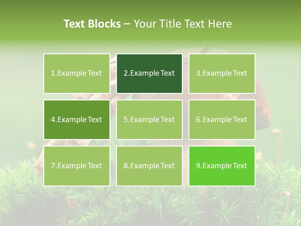 Cooking Cepe Beauty PowerPoint Template