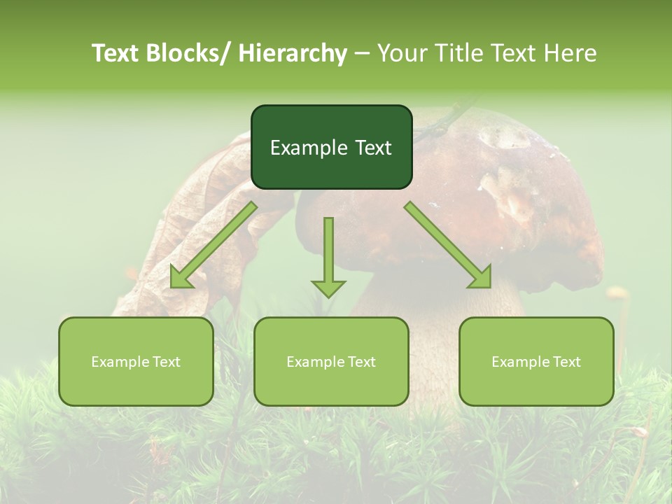 Cooking Cepe Beauty PowerPoint Template