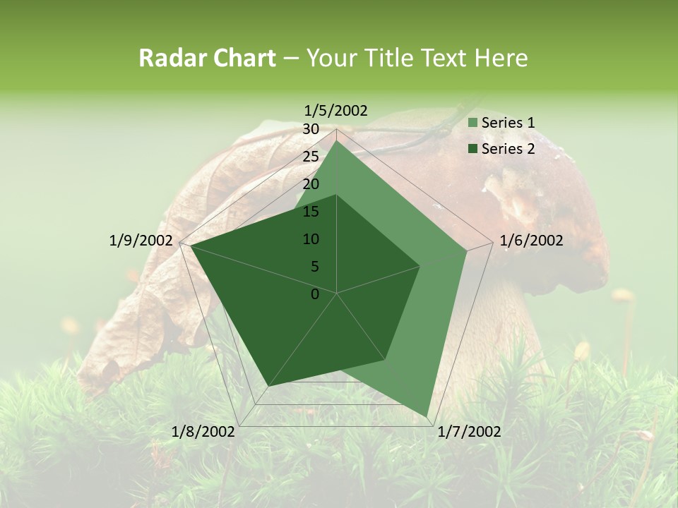 Cooking Cepe Beauty PowerPoint Template