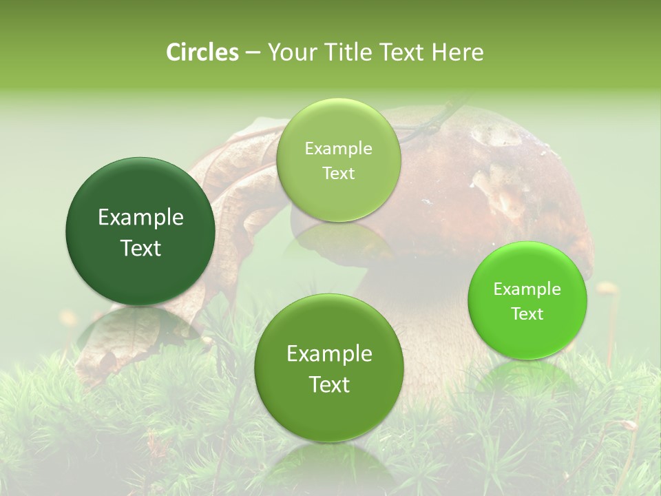 Cooking Cepe Beauty PowerPoint Template