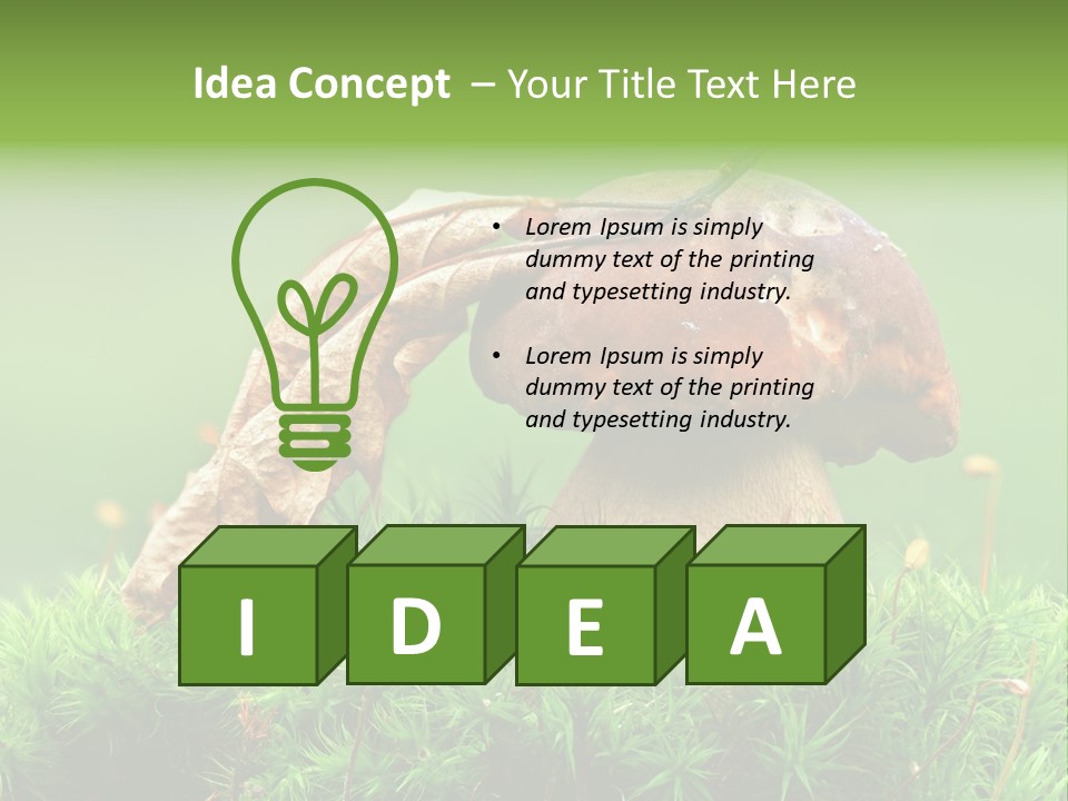 Cooking Cepe Beauty PowerPoint Template