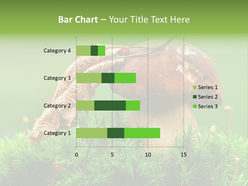 Cooking Cepe Beauty PowerPoint Template