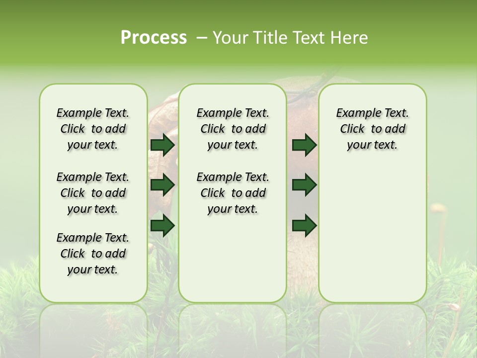 Cooking Cepe Beauty PowerPoint Template