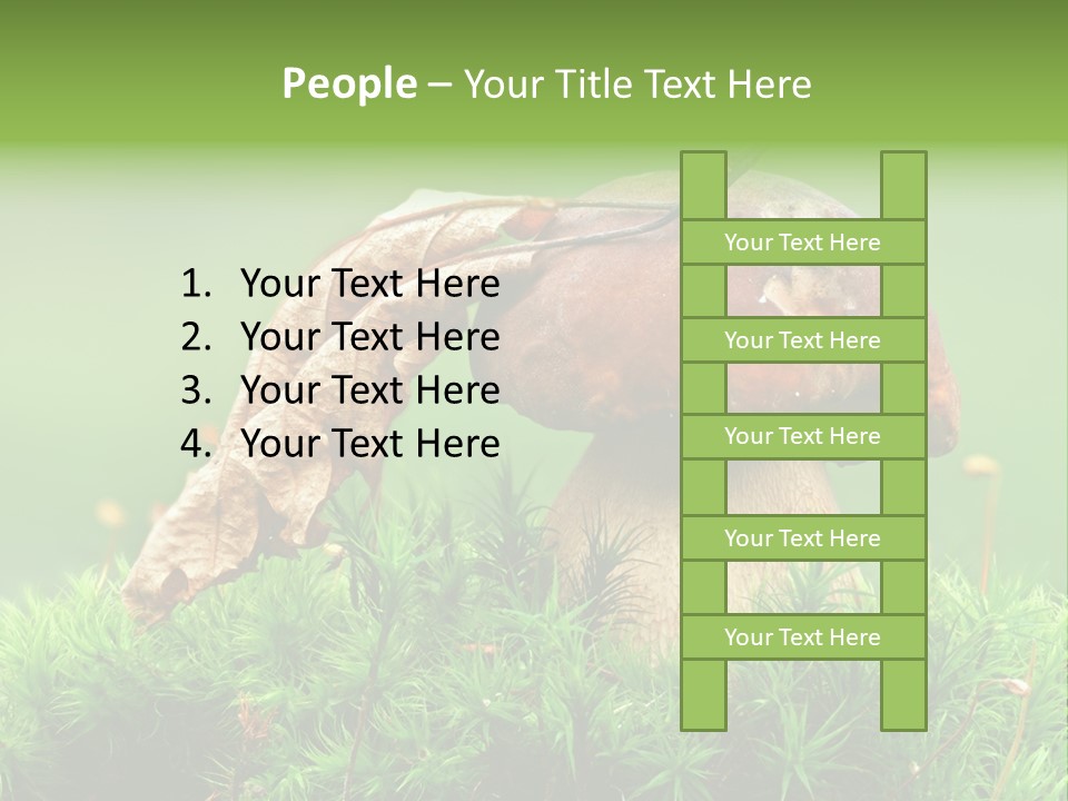 Cooking Cepe Beauty PowerPoint Template