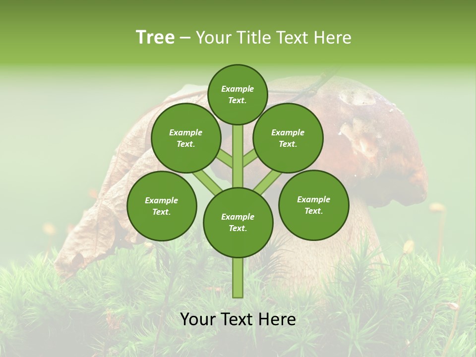 Cooking Cepe Beauty PowerPoint Template