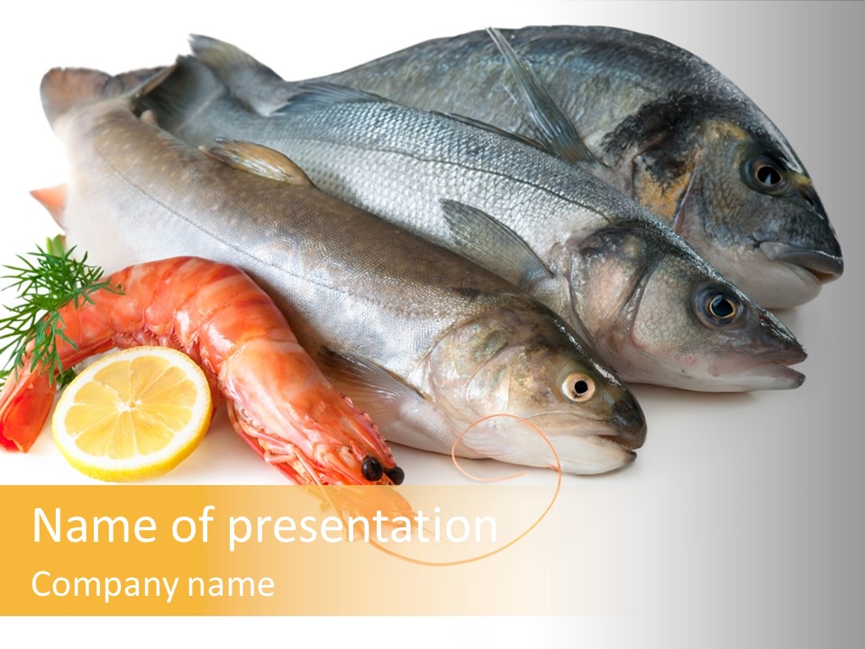 Labrax Seabass Dinner PowerPoint Template