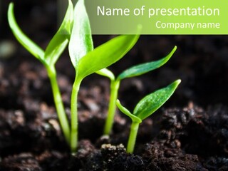 Green Ground Fresh PowerPoint Template