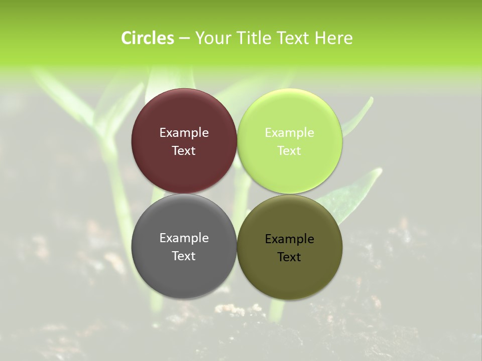 Green Ground Fresh PowerPoint Template