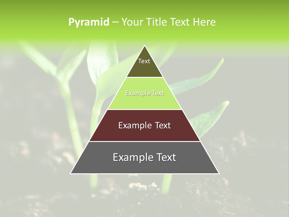 Green Ground Fresh PowerPoint Template