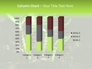 Green Ground Fresh PowerPoint Template