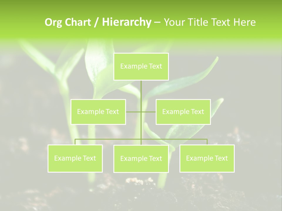Green Ground Fresh PowerPoint Template