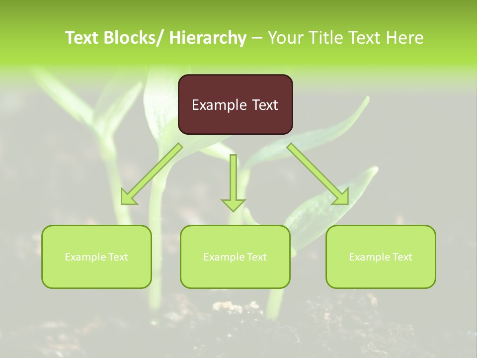 Green Ground Fresh PowerPoint Template