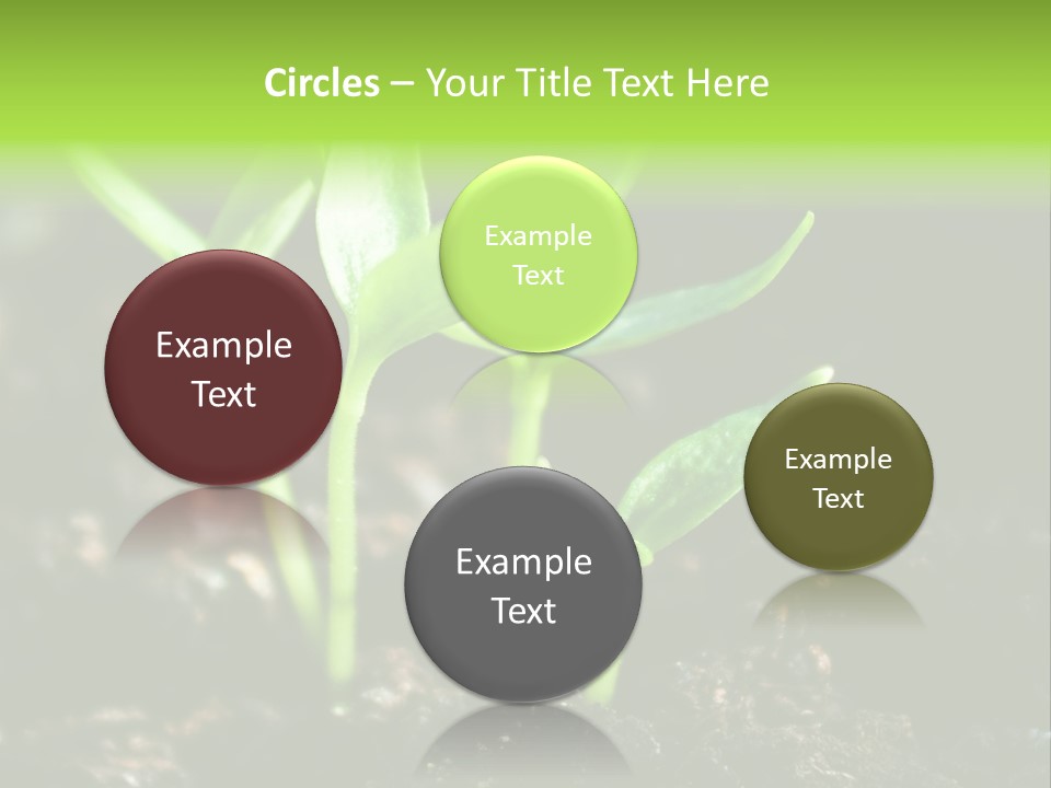 Green Ground Fresh PowerPoint Template