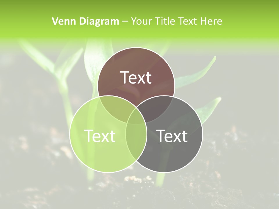 Green Ground Fresh PowerPoint Template