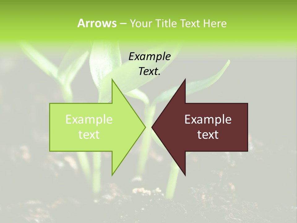 Green Ground Fresh PowerPoint Template