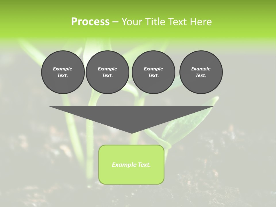 Green Ground Fresh PowerPoint Template