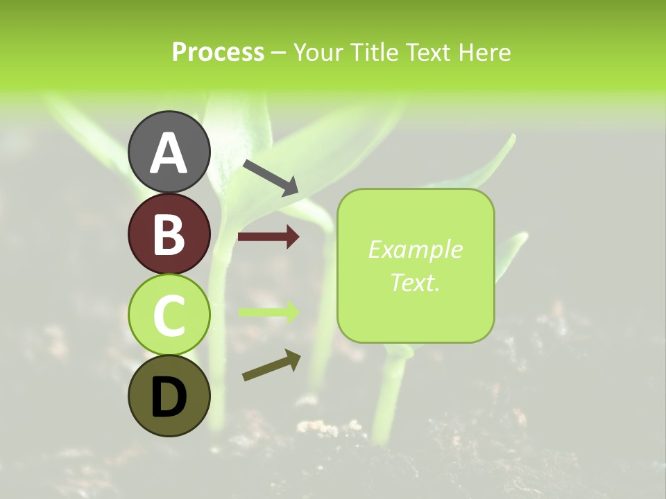 Green Ground Fresh PowerPoint Template