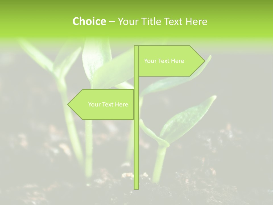 Green Ground Fresh PowerPoint Template