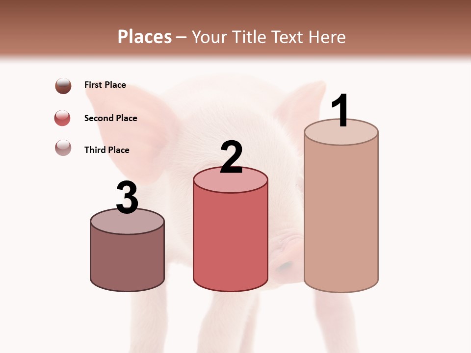 Pork Pink Standing PowerPoint Template