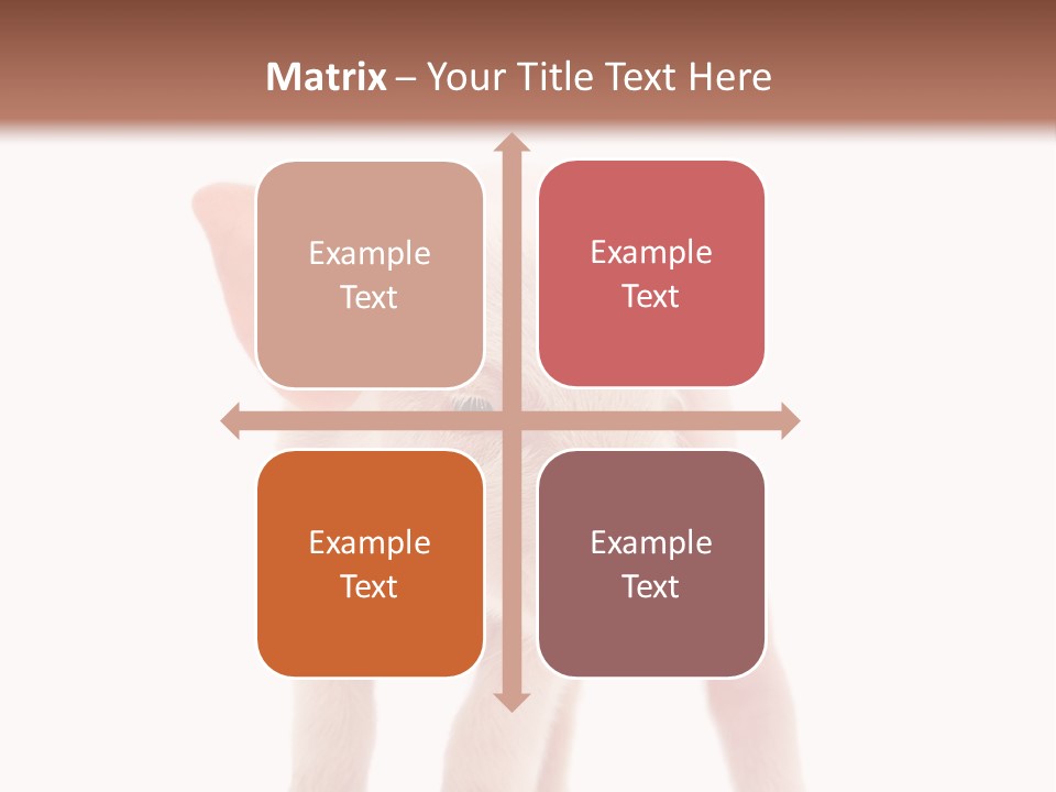 Pork Pink Standing PowerPoint Template