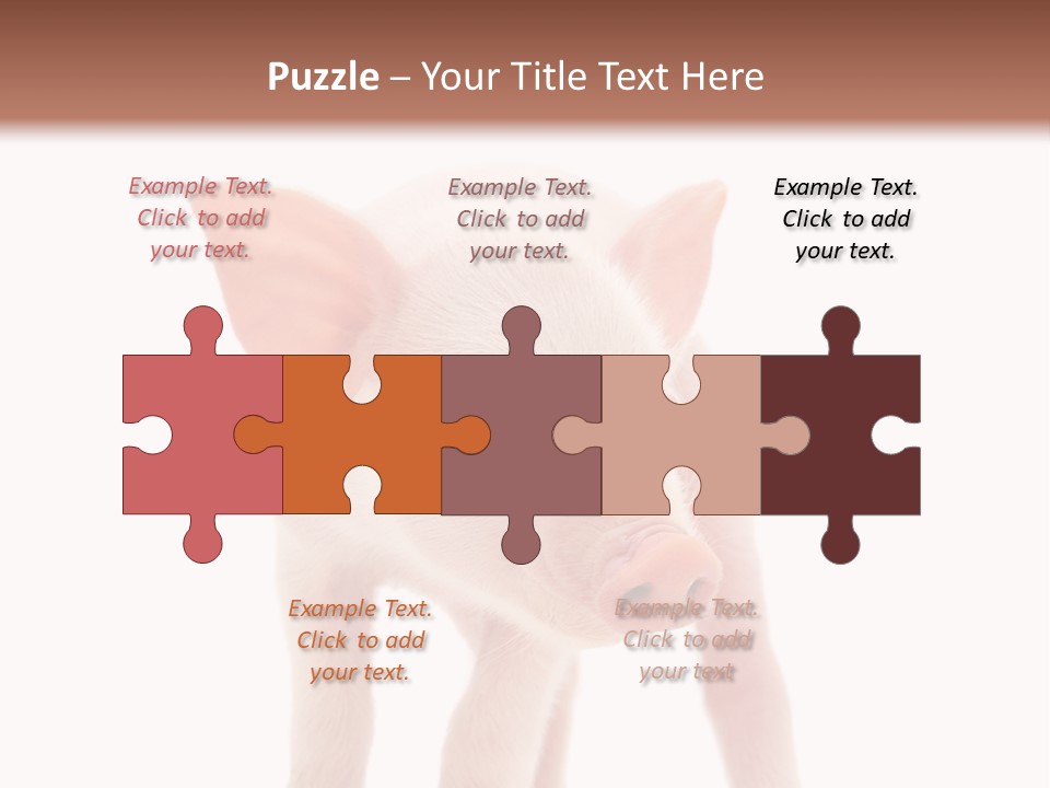 Pork Pink Standing PowerPoint Template