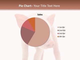 Pork Pink Standing PowerPoint Template