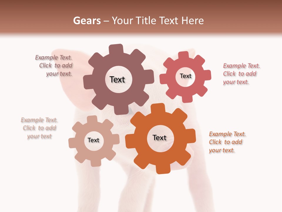 Pork Pink Standing PowerPoint Template