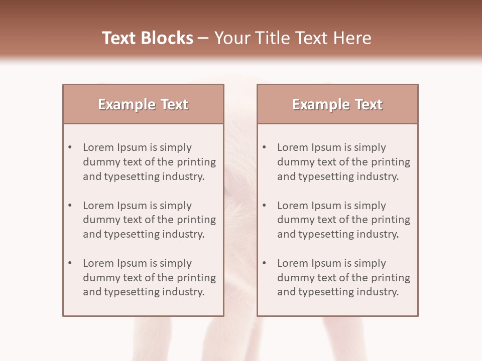 Pork Pink Standing PowerPoint Template