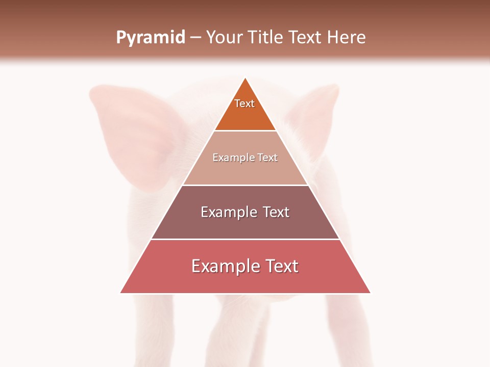 Pork Pink Standing PowerPoint Template