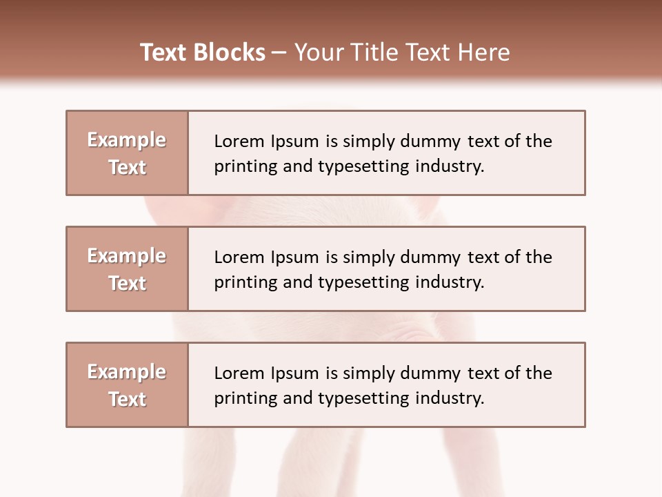 Pork Pink Standing PowerPoint Template