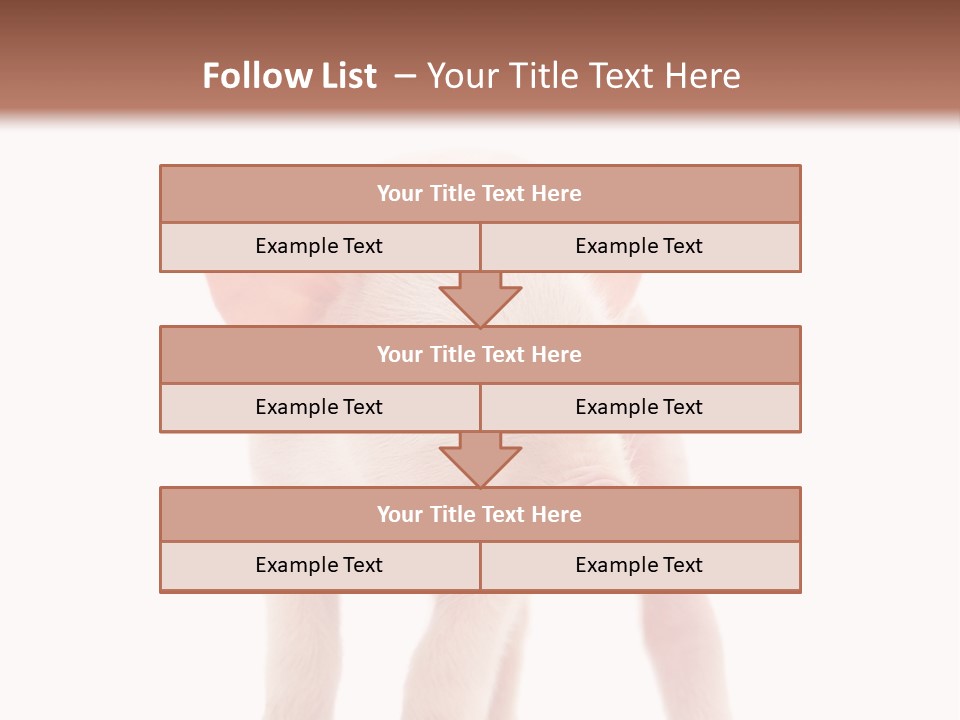 Pork Pink Standing PowerPoint Template