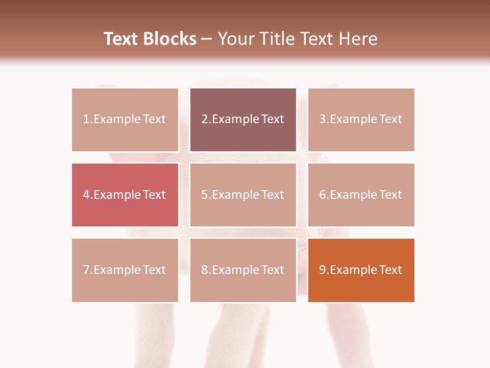 Pork Pink Standing PowerPoint Template