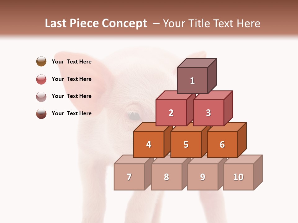 Pork Pink Standing PowerPoint Template