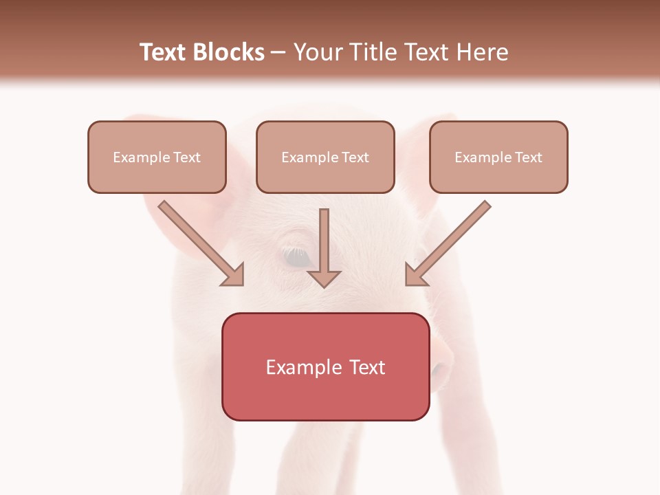 Pork Pink Standing PowerPoint Template