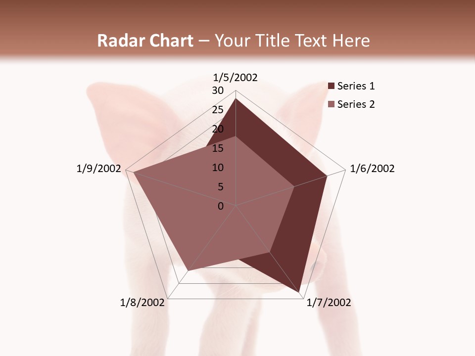 Pork Pink Standing PowerPoint Template