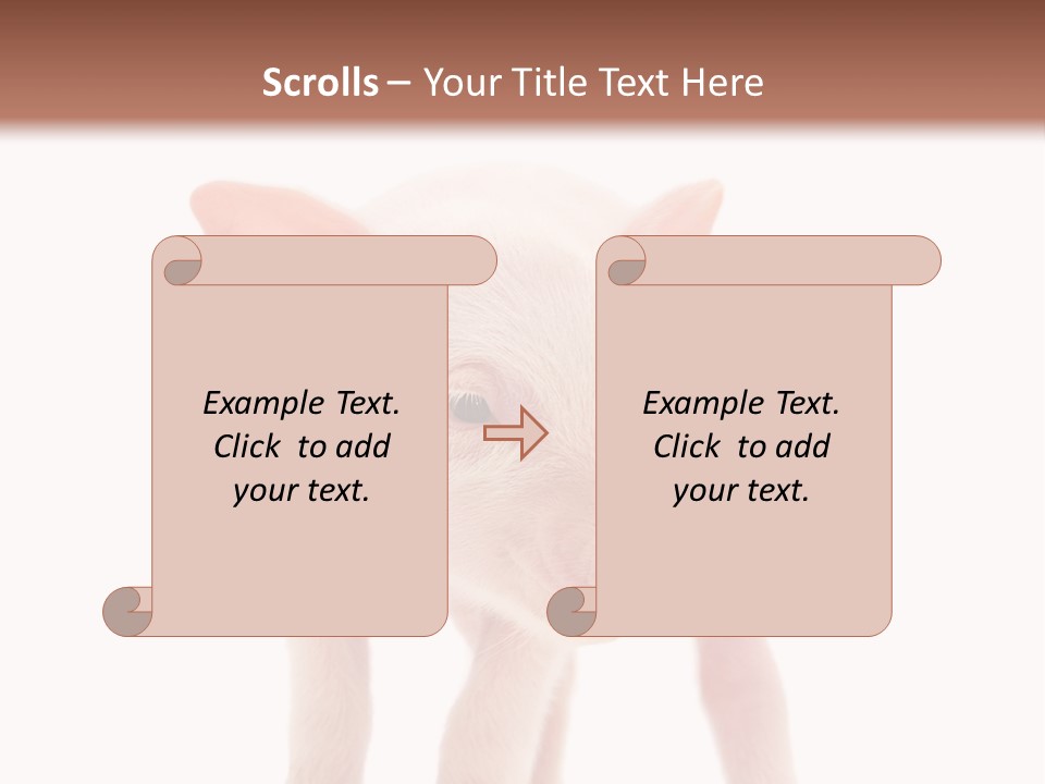 Pork Pink Standing PowerPoint Template