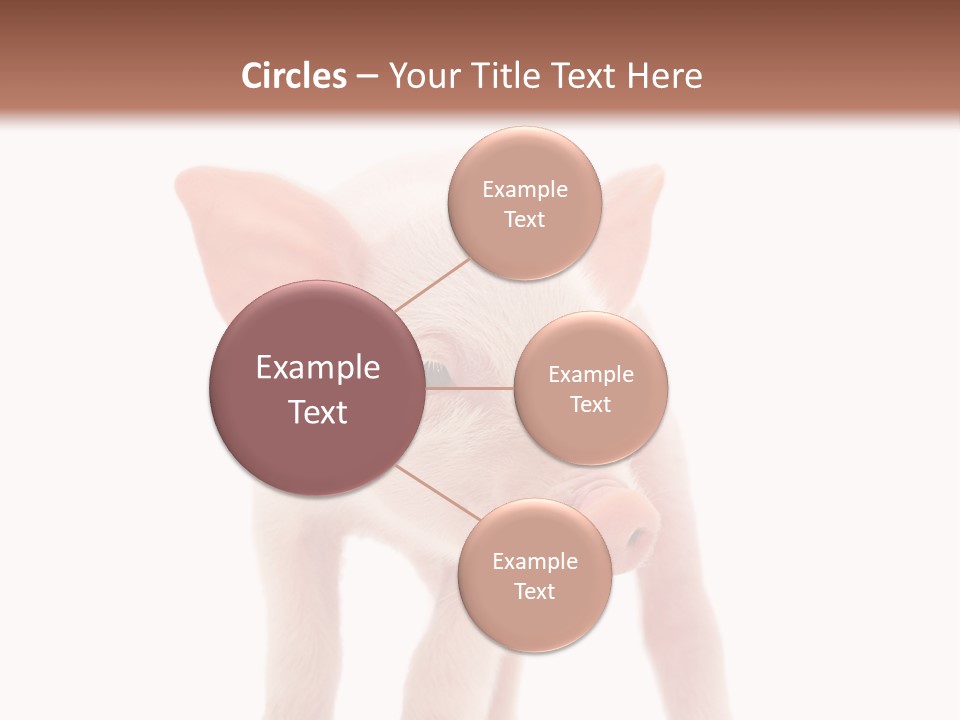 Pork Pink Standing PowerPoint Template