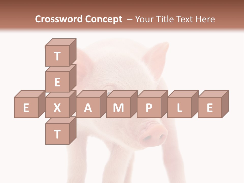 Pork Pink Standing PowerPoint Template